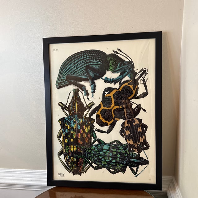 Art Deco Insects Giclee Print After Emile-Allain Seguy ~Framed For Sale - Image 3 of 9