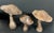 Folk Art Late 20th Century Set of 3 Folk Art Carved Wood Mushroom Sculpture #M45 For Sale - Image 3 of 10
