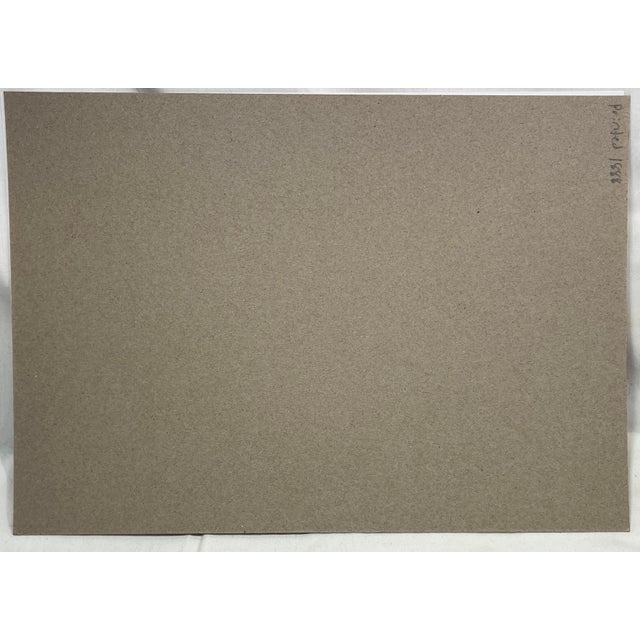 Antique Hand Tinted Bird Print From England Featuring a Black & Brown Noddy - Circa 1888 For Sale - Image 11 of 11