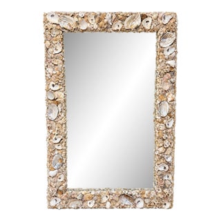 Monumental Coastal Boho Grotto Seashell Coral Oyster Shellwork Mirror 6' X 4' For Sale