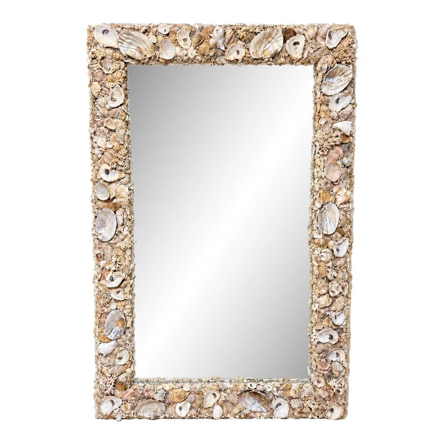Monumental Coastal Boho Grotto Seashell Coral Oyster Shellwork Mirror 6' X 4' For Sale