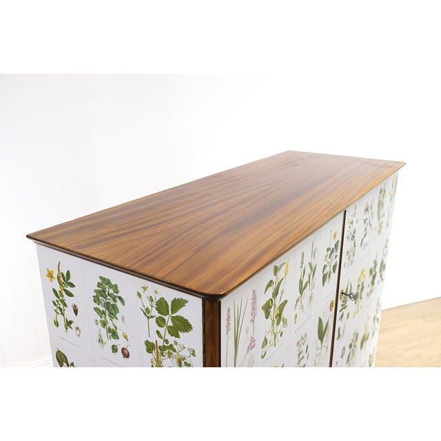 Swedish Modern Flora Cabinet with Illustrations by C.A.M Lindman, 1940s For Sale - Image 6 of 9