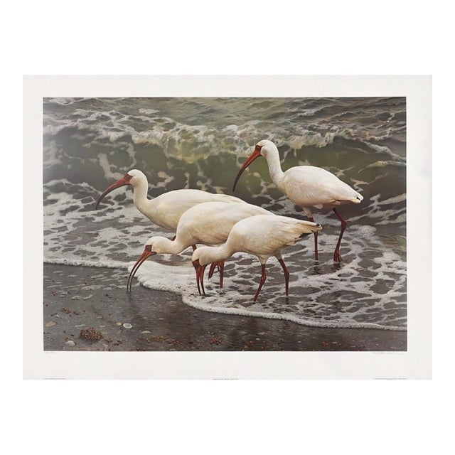 Carl Brenders "Shoreline Quartet - White Ibis" Signed Limited Edition Print, 1990 For Sale