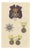 Plate Xl Hanover King's German Legion Medal Wood Engraving, 1844 For Sale