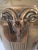 Late 20th Century Vintage Brass Lamps With Rams Head Motif - a Pair For Sale - Image 5 of 13
