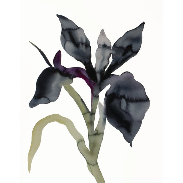 "Iris No. 206" Contemporary Original Botanical Flowers Watercolor Painting by Elizabeth Becker For Sale