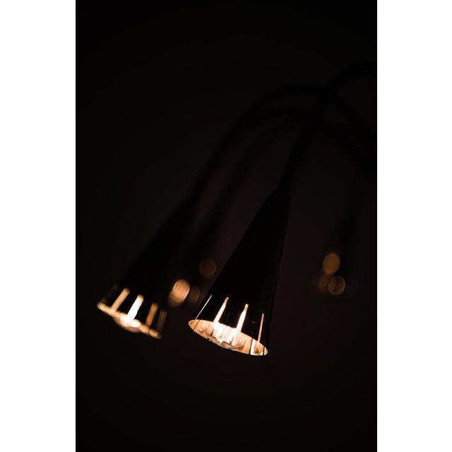 Ceiling Lamp with Conical Brass Shade from Harald Notini, 1950s For Sale - Image 9 of 10