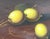 Vintage Original Lemon Still Life Oil Painting For Sale - Image 4 of 12