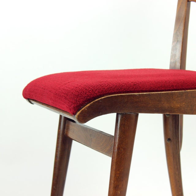 Dining Chairs in Oak and Walnut, Czechoslovakia, 1960s, Set of 4 For Sale - Image 12 of 13