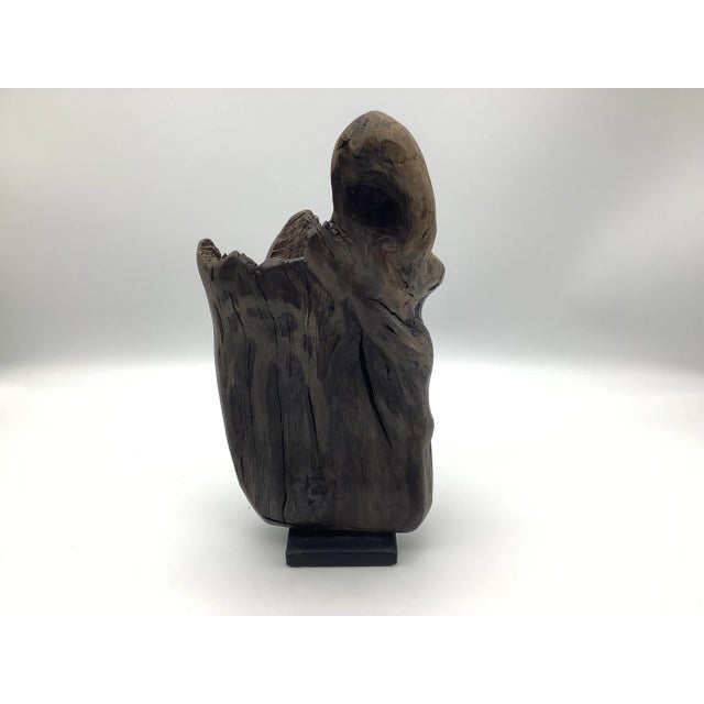 Late 20th Century Driftwood Sculpture For Sale - Image 10 of 13