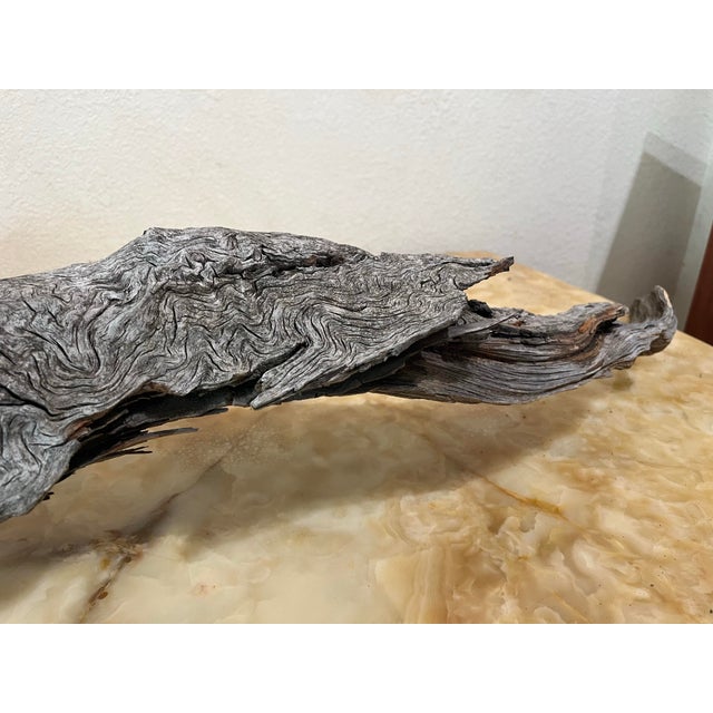 Mid 19th Century 1854 Big Burn Ghost Forest Large 4-Foot Ribbon Grain Architectural Sculpture For Sale - Image 5 of 9