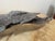 Mid 19th Century 1854 Big Burn Ghost Forest Large 4-Foot Ribbon Grain Architectural Sculpture For Sale - Image 5 of 9