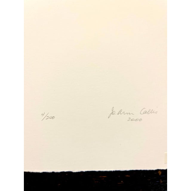 2000 - 2009 Jo Ann Callis, Vintage Hand Signed Color Photograph Digital Photo Baby Portrait Jo Ann Callis, 2000 For Sale - Image 5 of 5