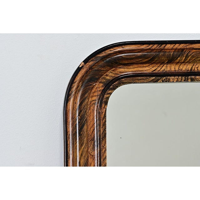 Louis Philippe French 19th Century Faux Bois Louis Philippe Mirror For Sale - Image 4 of 8