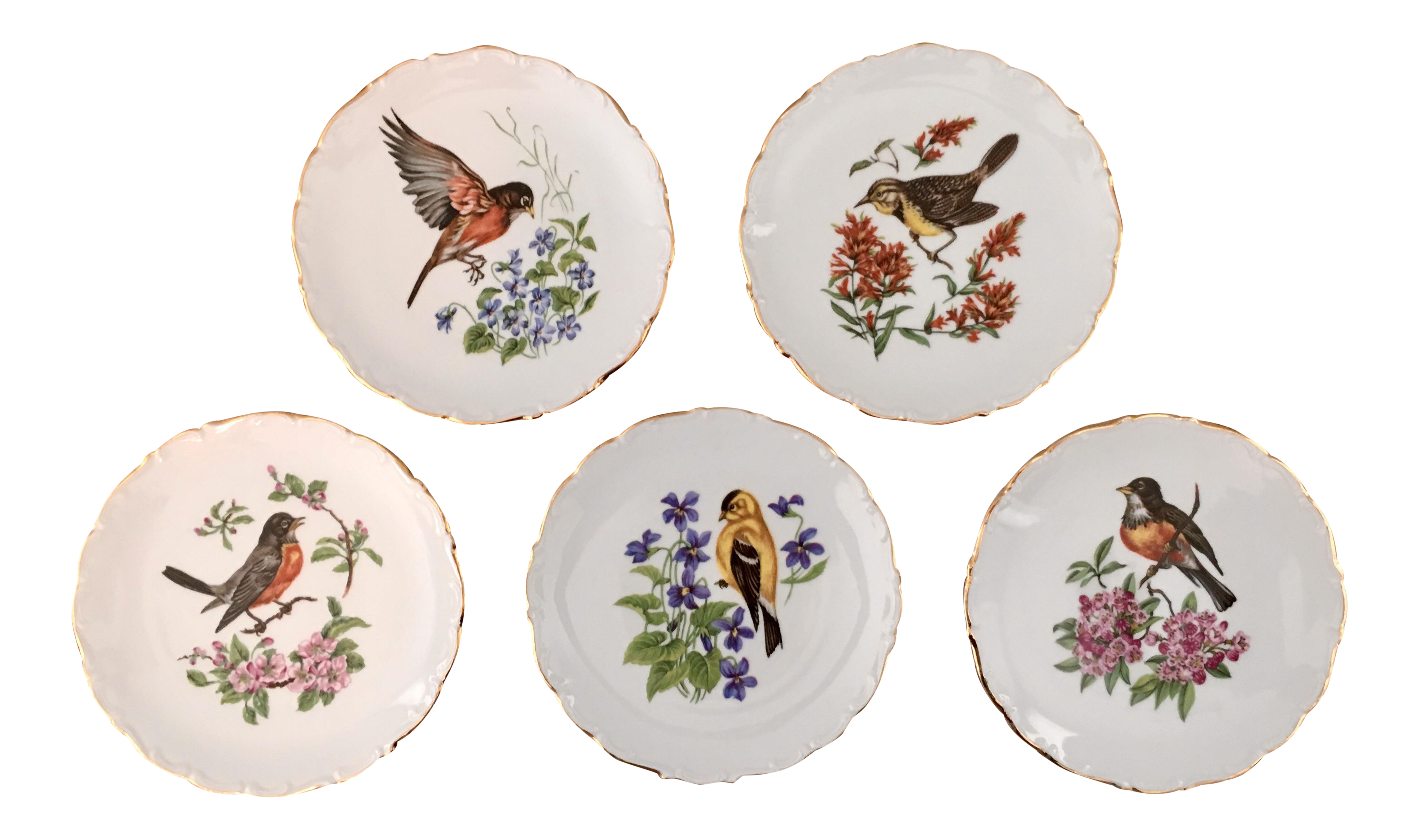 Vintage Decorative Bird And Floral Plates Set Of 5 Chairish