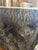 Contemporary Attributed Palecek Chloe Fossil Clam Lava Coffee Table For Sale - Image 3 of 15