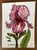 Giclee Print of Watercolor Ink and Wash Small Painting “Pink Iris” For Sale - Image 6 of 10