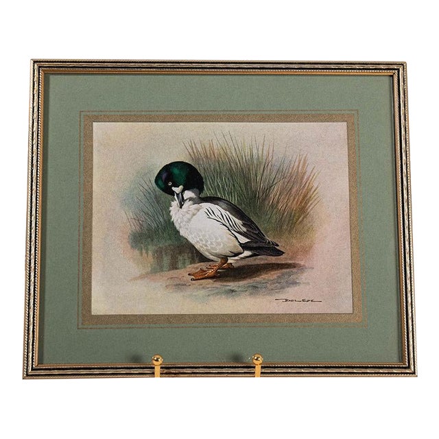 Set of 3 Signed Duck Prints With Green Mats For Sale