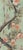 18" *36"/Panel, Chinoiserie Mint Green Pheasant Floral 2-Panel Wallpaper Panels, No Frame, Tea Paper For Sale - Image 6 of 6