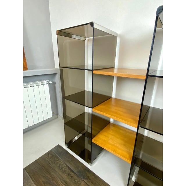 Chrome, Smoked Glass & Wood Bookshelf Étagère by Gallotti & Radice, Italy, 1970s For Sale - Image 9 of 15