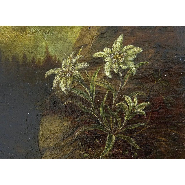 19th Century Miniature Oil on Board Painting of Edelweiss For Sale - Image 4 of 7