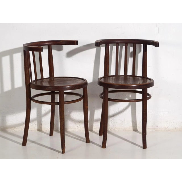 Vintage Bentwood Chairs, 1920, Set of 4 For Sale - Image 6 of 10