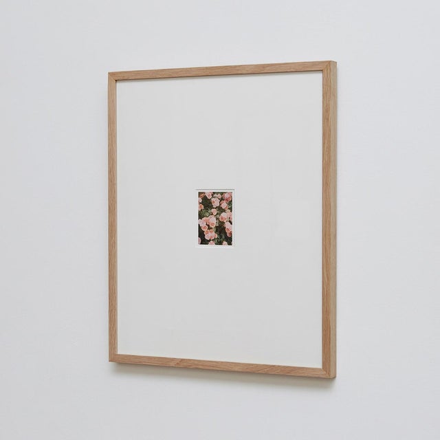 The Rose Garden Prints by David Urbano, 2018, Set of 9 For Sale - Image 15 of 18