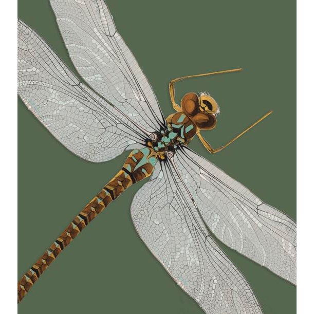 The series was produced by CFA editions from original pochior prints by E.A. Seguy. The series of insects that Seguy...