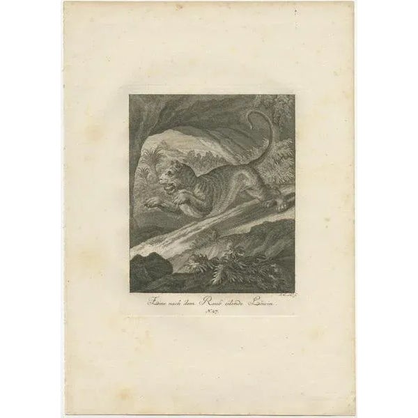 Ridinger, Lioness Hunting and Resting, Prints, Set of 2 For Sale - Image 3 of 6
