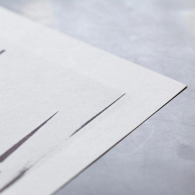 Lithograph by Joseph Beuys for Bolaffiarte, 1974 For Sale - Image 4 of 11