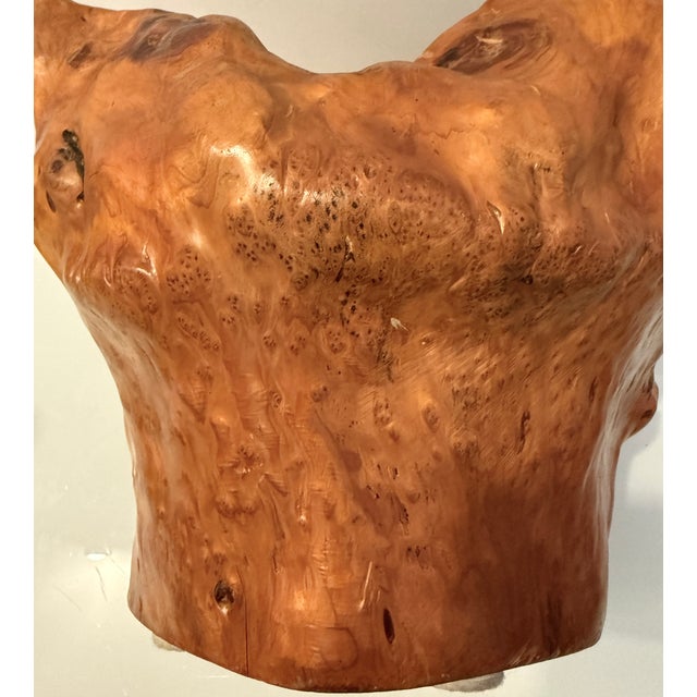 Vintage Hand-Carved Burl Wood Sculptural Bowl For Sale - Image 10 of 13