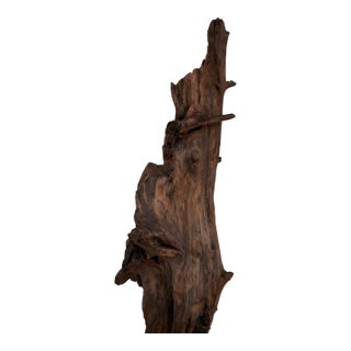 Arteriors Organic Modern Natural Teak Kazu Sculpture For Sale