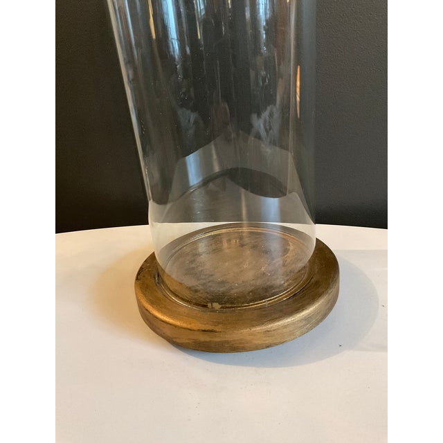 Antique Hand Blown Glass Cloche With Wooden Stand | Chairish