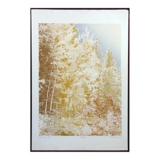 Paula Crane "Alma Ii" Signed Numbered Artwork Etching of Forest, Trees For Sale