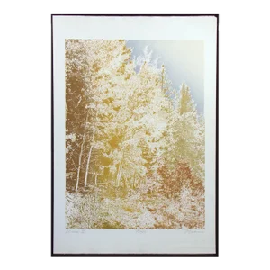 Paula Crane "Alma Ii" Signed Numbered Artwork Etching of Forest, Trees