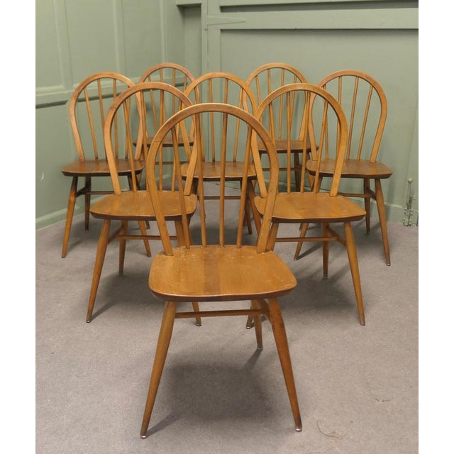 Set of 8 Light Coloured 1960s Ercol Windsor Dining Chairs The chairs are made in beech and elm, a classic design in the...