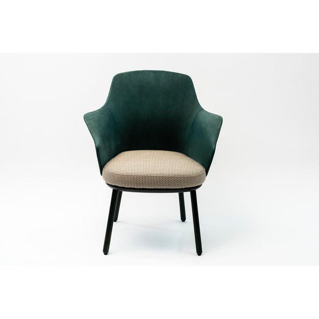 Linus Armchair by Marco Dessí For Sale - Image 16 of 17