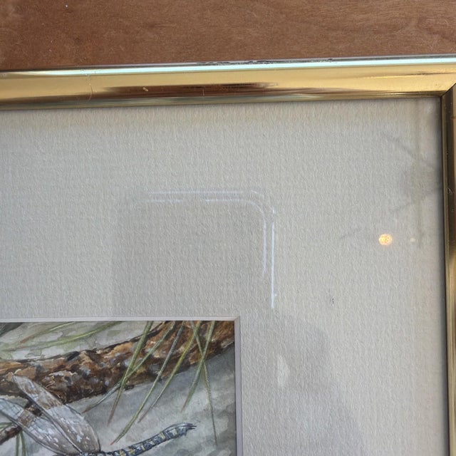 1990s Jane Maday Original Signed Watercolor Steller's Jay Poudre Canyon Framed For Sale - Image 4 of 14