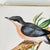 Villeroy & Boch trivet, between 1947 and 1956 Antique tile with a nuthatch bird motif, mounted as a trivet with a gilt...