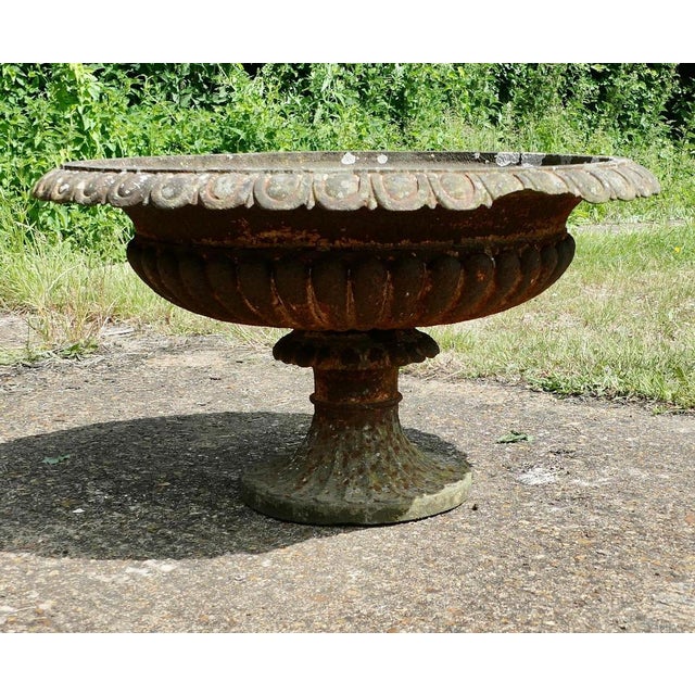 Large Cast Iron Garden Urn, 19th Century For Sale - Image 5 of 8