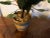 Italian Tole Table Top Orange Trees in Faux Bois Tubs - a Pair For Sale - Image 10 of 12