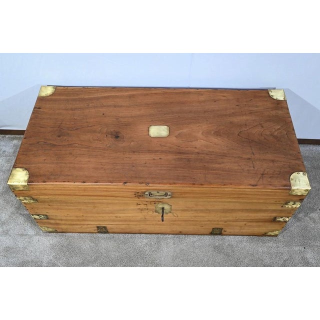 Camphor Tree Trunk, Late 19th Century For Sale - Image 4 of 18