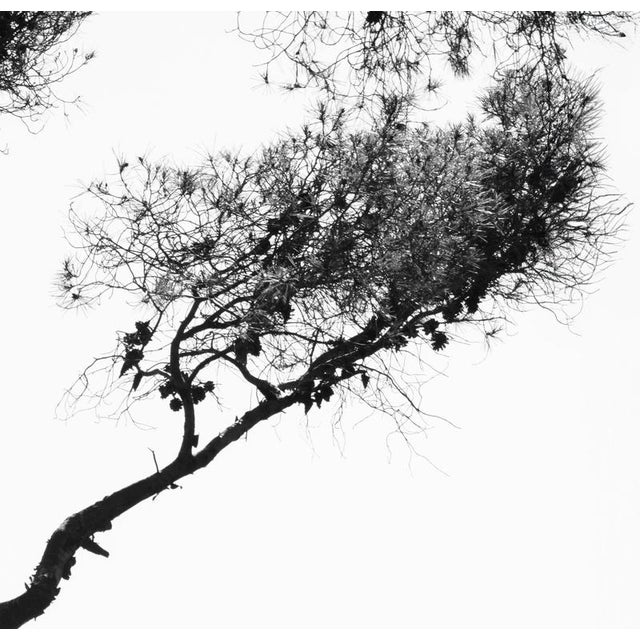 Ugne Pouwell, Porto Venere, 2024, Photography For Sale - Image 4 of 5