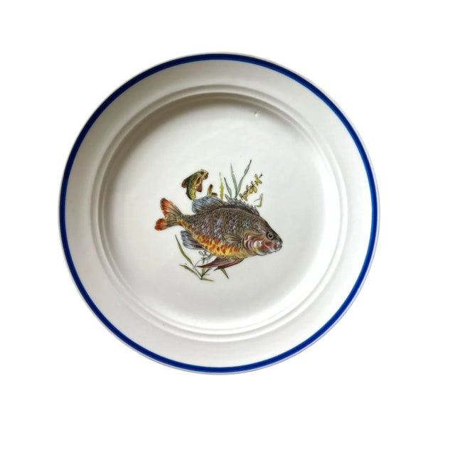 Vintage Italian Ceramic Fish Plates & Platter – Hand-Painted Deruta, 1960s, Set of 11 For Sale - Image 9 of 12