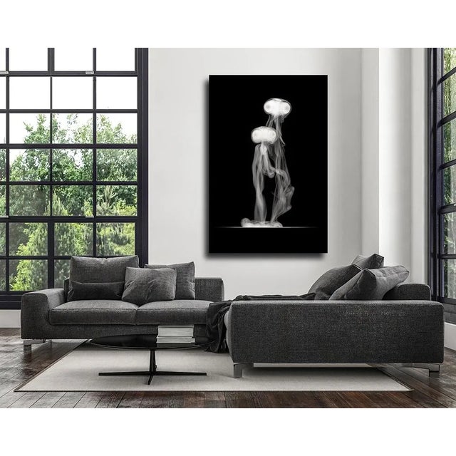 "Inspired by the classic horror movies of the 1950's, I employed an assortment of homemade devices, to manipulate smoke,...