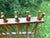 Vintage Wood Plate Rack For Sale - Image 17 of 17