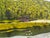 Realism 1980s Howard Hopkins Jr Queens Ann’s Lace Oil on Canvas Landscape Painting For Sale - Image 3 of 6