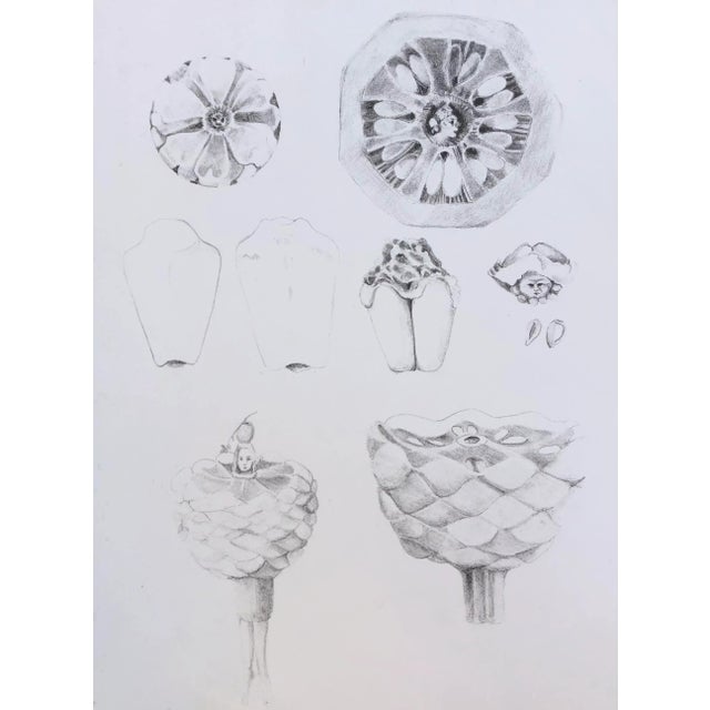 Figurative 19790s Adrienne Anderson Modern Lithograph For Sale - Image 3 of 3