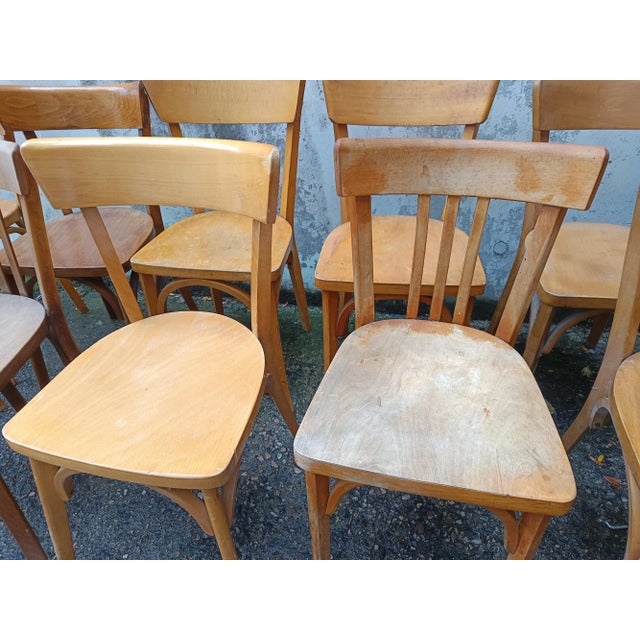 Bistro Chairs from Baumann, 1950s, Set of 12 For Sale - Image 13 of 18