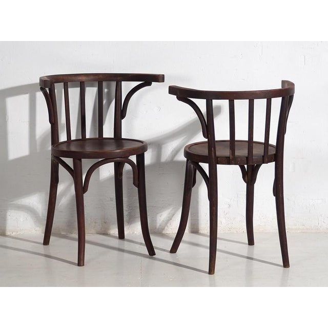 1920s Chairs with Armrests from Thonet, 1920s, Set of 4 For Sale - Image 5 of 18